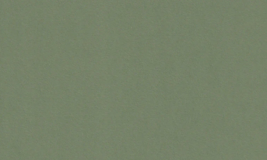 Forrest Green Daily Planner